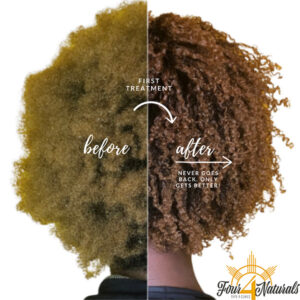 visit shop page for Four Naturals Treatment for moisturized type 4 hair