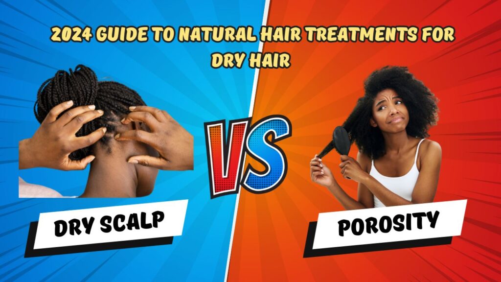 2024 Guide to Natural Hair Treatments for Dry Hair
